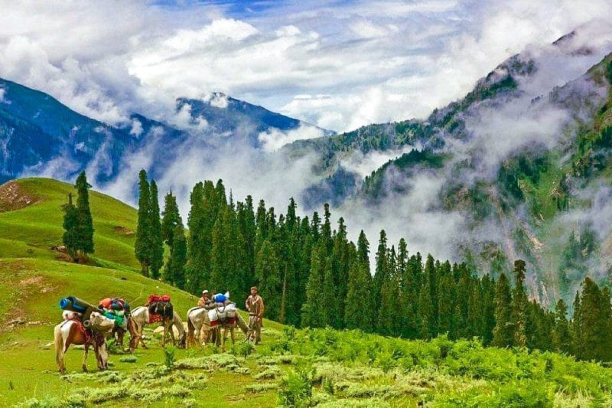 Thandiani-Abbottabad